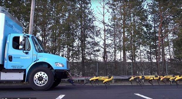 سگ های رباتیکی که کامیون حمل می نمایند