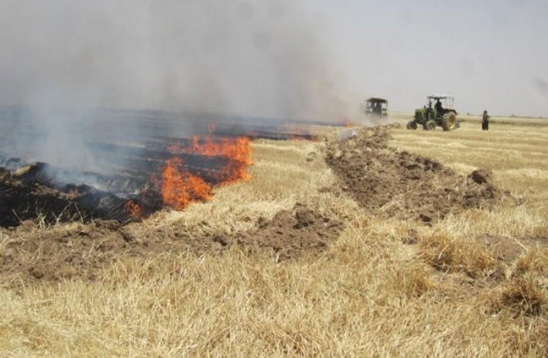 آتش زدن پس مانده محصولات در عرصه مزارع غیرقانونی است