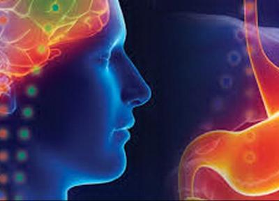 چاقی مغز را کوچک می کند