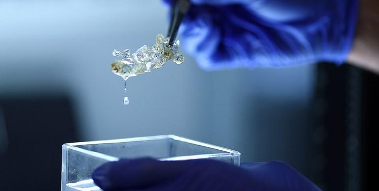 ساخت اندام های چاپ سه بعدی برای پیوند