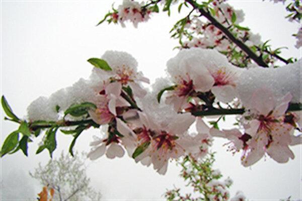 اردیبهشت زیر صفر برای بخشی از کشور ، وضعیت نامناسب کشاورزان