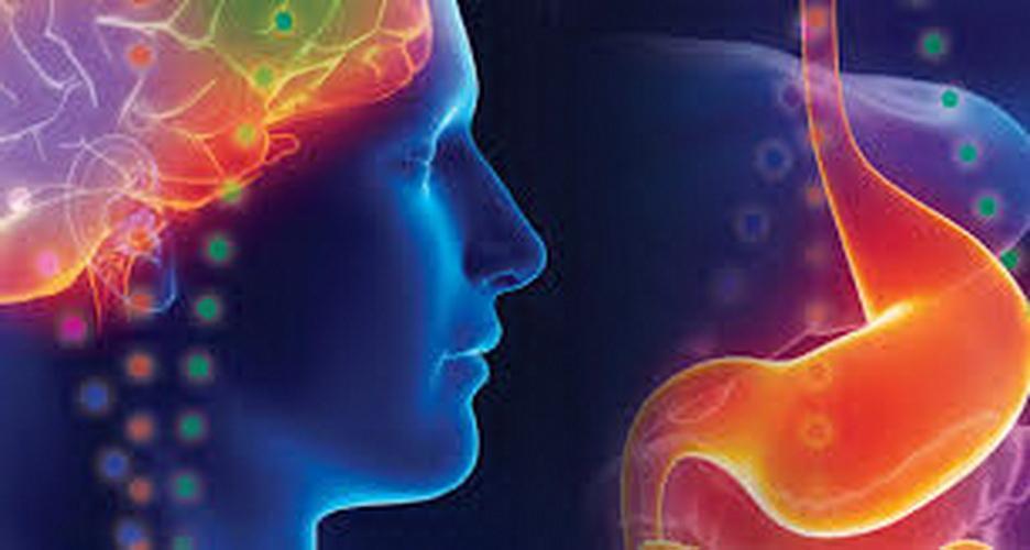 چاقی مغز را کوچک می کند