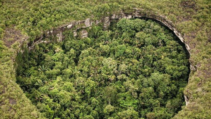 تخریب 12 میلیون هکتار از جنگل های استوایی جهان در سال 2018