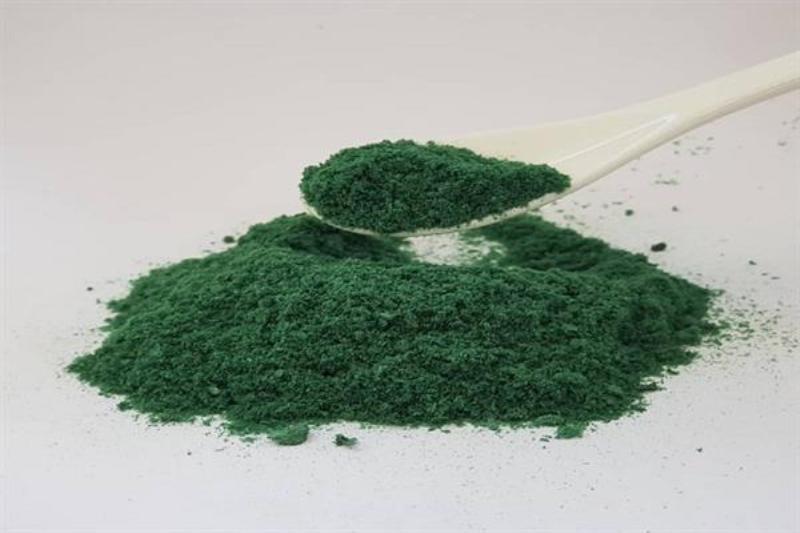 دانش فنی کشت انبوه چندین نوع ریزجلبک بومی شد