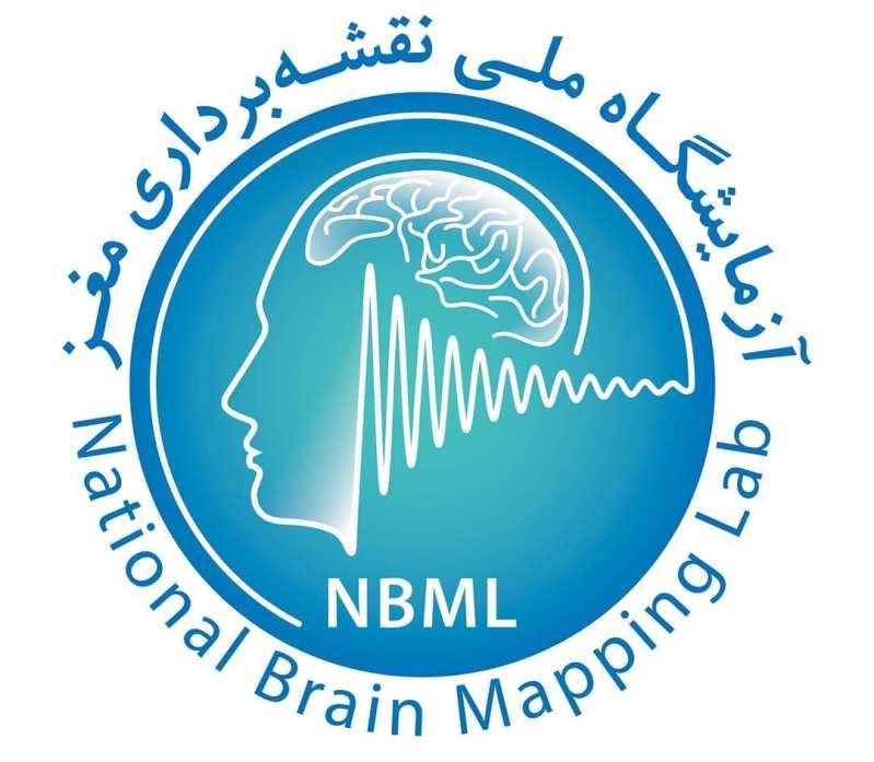 محققان در بزرگترین رویداد نقشه برداری مغز دورهم جمع می شوند