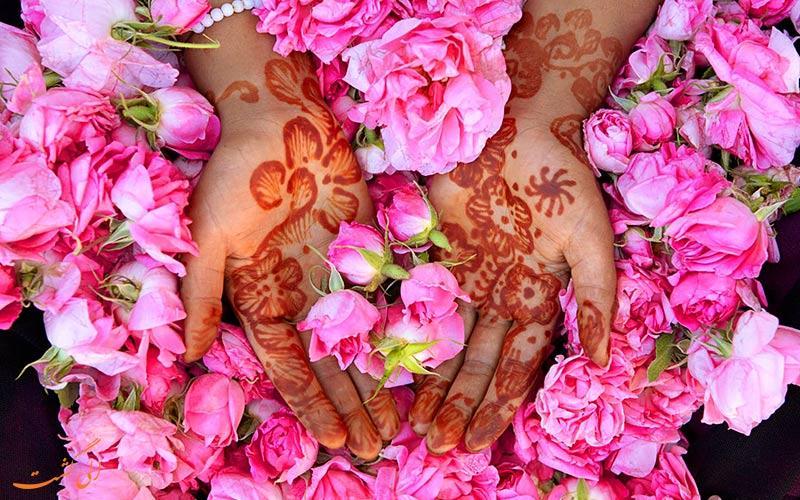 آداب و آیین گلاب گیری