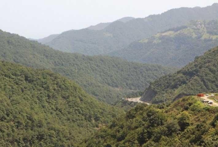 هکتار جنگل گیلان در آستانه پاکتراشی