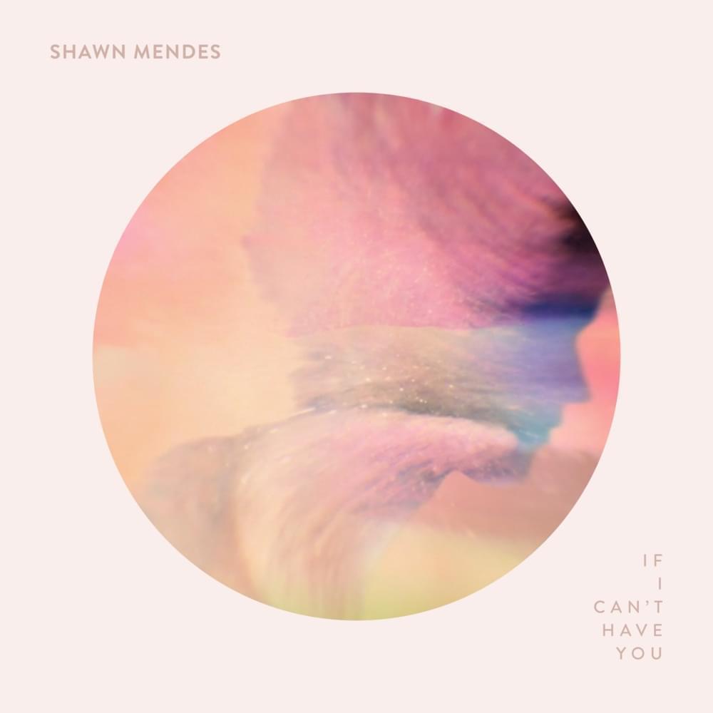 ترجمه آهنگ If I Cant Have You از Shawn Mendes