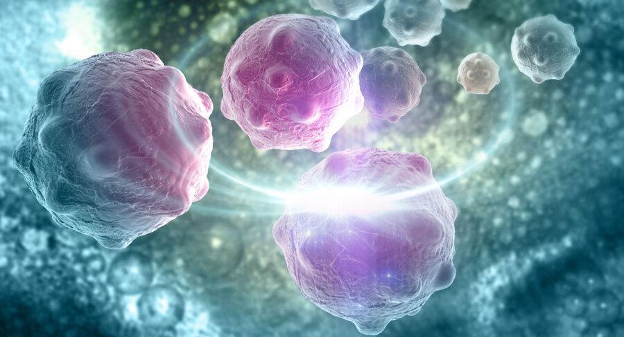 چطور استرس مزمن رشد سلول های سرطانی را افزایش می دهد؟