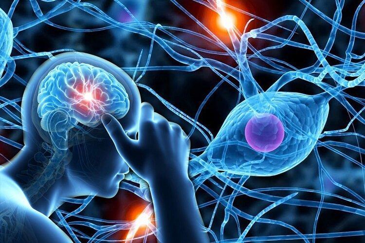 ملاحظات سفرهای پروازی برای بیماران مغز و اعصاب ملاحظات سفرهای پروازی برای بیماران مغز و اعصاب