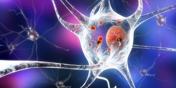 تفاوت شدت بروز بیماری ها در ساعات مختلف شبانه روز