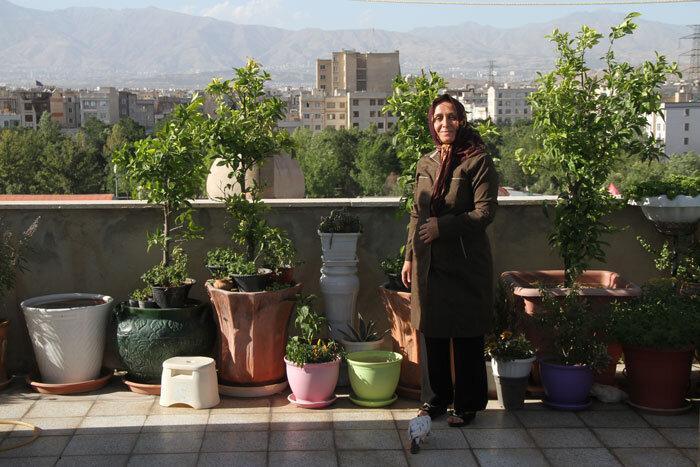 بستر پرورش گل و گیاه را ایجاد کنید