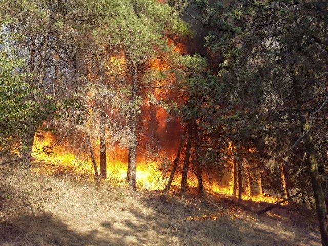 جنگل قرق بان می خواهد، تخریب جاده های بین مزارع مسئله ای برای اطفای حریق