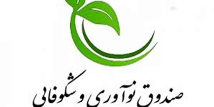 آمادگی صندوق نوآوری برای یاری به راه اندازی صندوق پژوهش و فناوری استان البرز