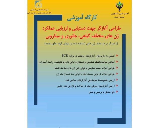 کارگاهطراحی آغازگر جهت ارزیابی عملکرد ژن های مختلف گیاهی، جانوری و میکروبی برگزار می گردد