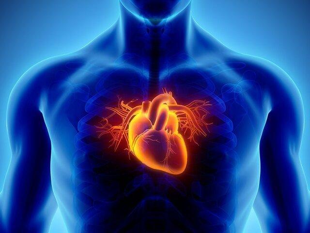 برای سلامت قلب مان چه کنیم؟
