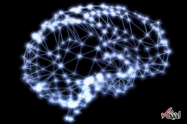 توسعه ایمپلنت های مغزی برای افزایش هوش