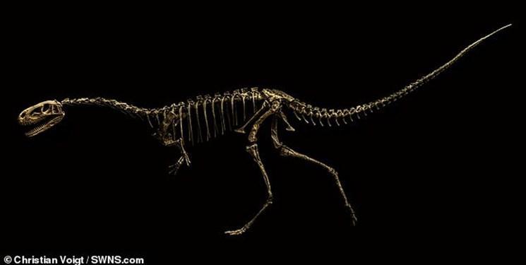 تصاویری شگفت انگیز از دایناسورهای 250 میلیون ساله
