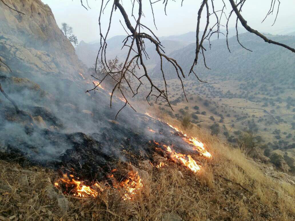 آتش صد هکتار از مراتع کوه سیاه دشتی را سوزاند، بالگرد برای خاموش کردن آتش می آید