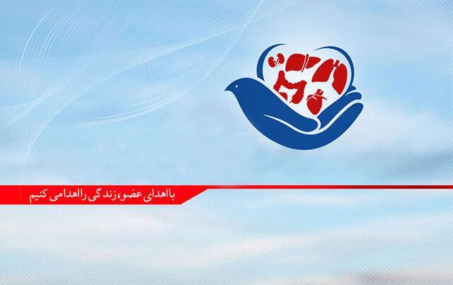 بانوی بوشهری به سه هم وطن زندگی بخشید