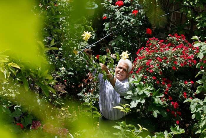 140 گونه گیاهی در یک گله جا