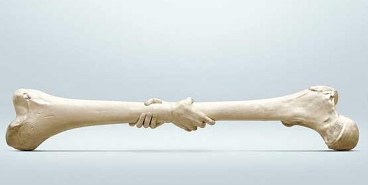 پیشرفتی در رشد طبیعی استخوان های از دست رفته