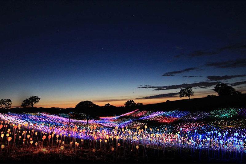 فیلم ، نمایش خیره کننده تپه های مواج و نورانی در کالیفرنیا