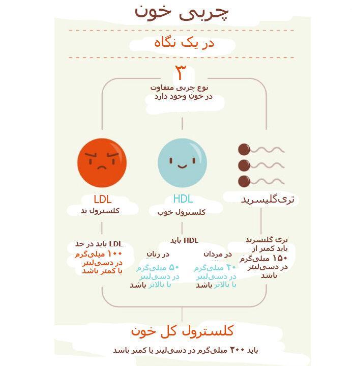 اطلاع نگاشت ، چربی های خون در یک نگاه