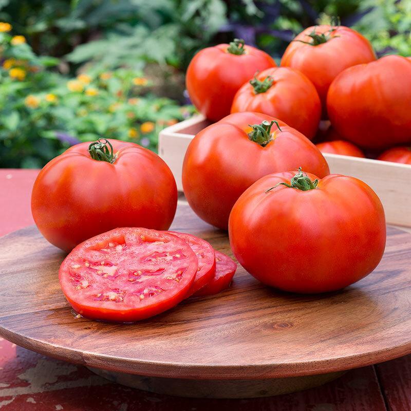 گوجه فرنگی ممکن است خطر سرطان پروستات را کاهش دهد