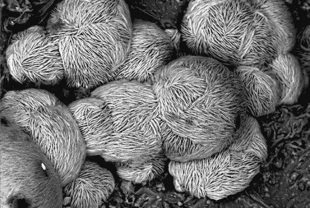 جذب سرمایه برای ارتقاء موقعیت در حوزه لایه نشانی اتمی