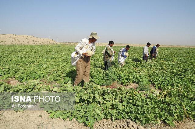 وقتی آب گره از کار زمین باز می نماید