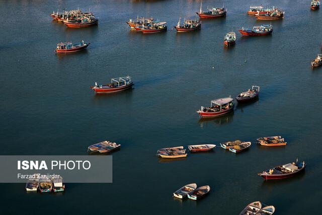 مناطق آزاد قطب صنایع خلاق کشور می شوند
