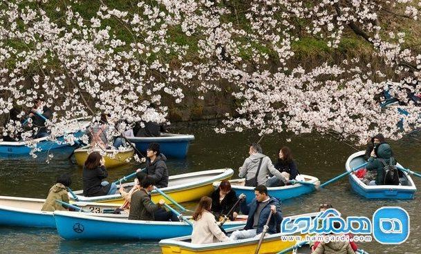 ژاپن گردشگران را به داشتن بیمه مسافرتی ترغیب می نماید