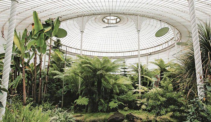 زیباترین گلخانه های دنیا همراه با این زوج جوان ، تصاویر