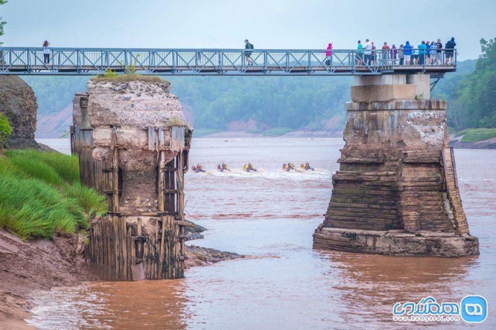 قایق رانی در آب های کم عمق رودخانه ، خارق العاده ترین سواریِ جهان