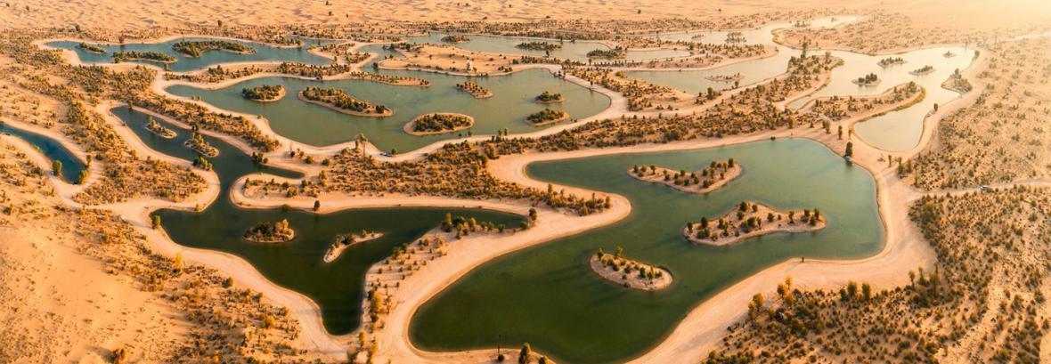 فیلم دریاچه مصنوعی عرب ها در دل بیابان باب الشمس دبی │ 130 گونه پرنده آمدند