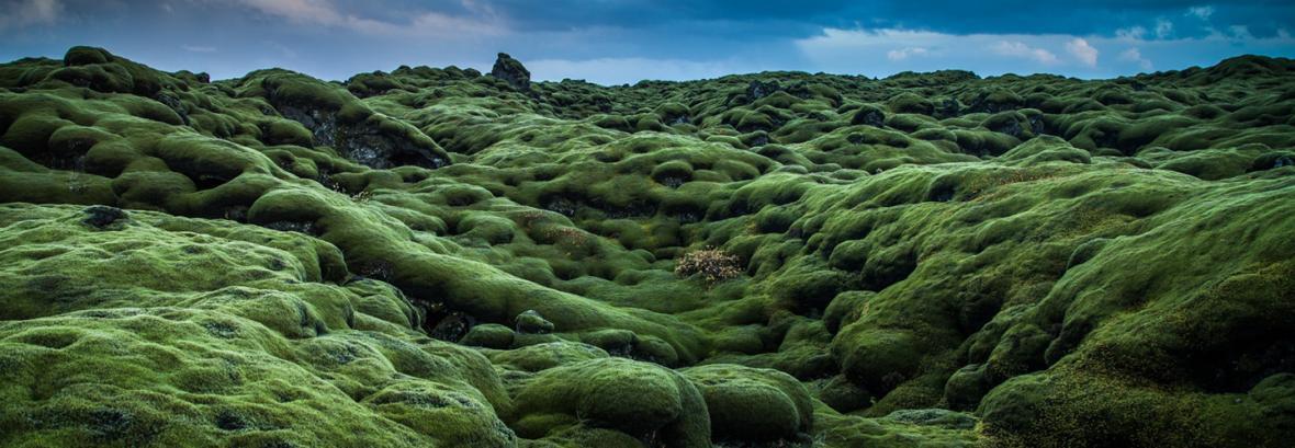 ایسلند فقط برفی نیست؛ جاذبه سبزی که روایتی وحشتناک دارد ، اسیر طبیعت شوید!
