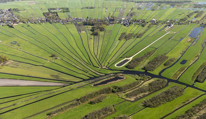 عجیب ترین و جذاب ترین جزیره های دنیا در لوسدرخت! ، تصاویر