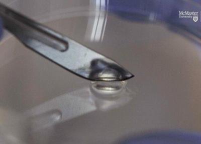 دانشمند ایرانی هیدروژل خودترمیم تولید کرد