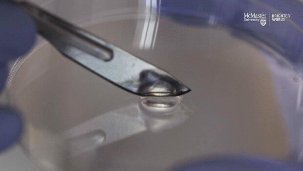 دانشمند ایرانی هیدروژل خودترمیم تولید کرد