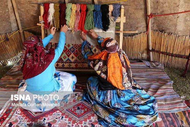 پیله هایی که ناجی درختان بلوط شد