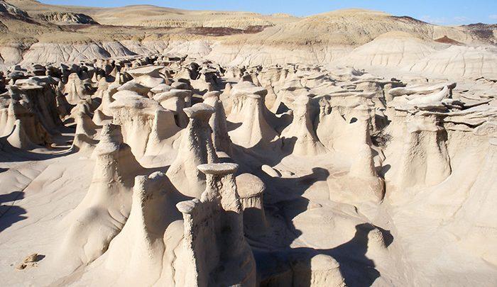 بیابان بیستی بدلندز ؛ موزه طبیعت! ، تصاویر