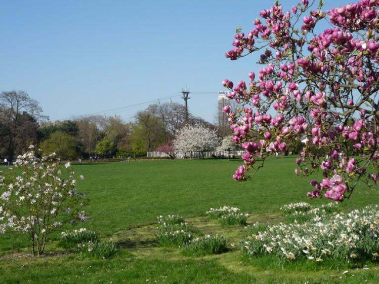 ماه عسل خود را در کلن بگذرانید