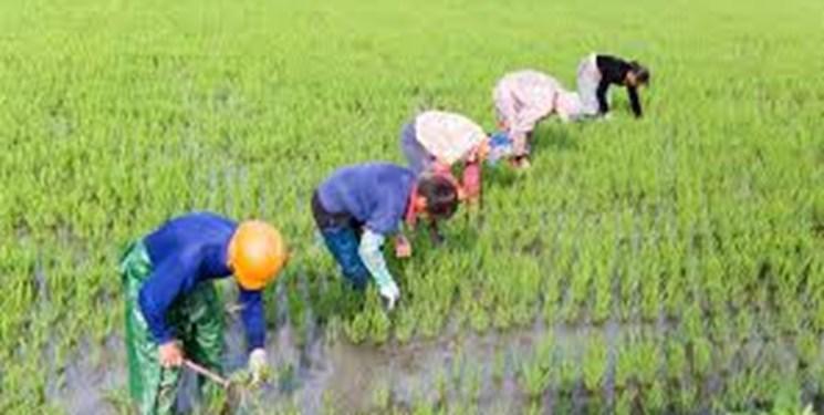 کشف تأثیر آب و هوا بر میکروارگانیسم