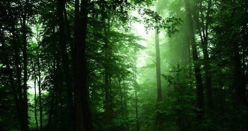 سیکاء، چهره جدید گردشگری ایران!