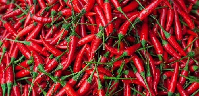 طبع فلفل قرمز چیست و مصلح چه غذاهایی به شمار می آید؟