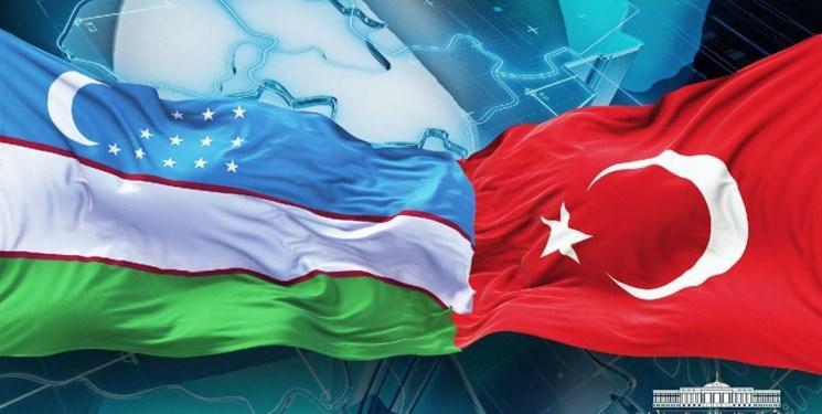 دیدار وزیر خارجه ازبکستان و اردوغان؛ توسعه روابط محور رایزنی
