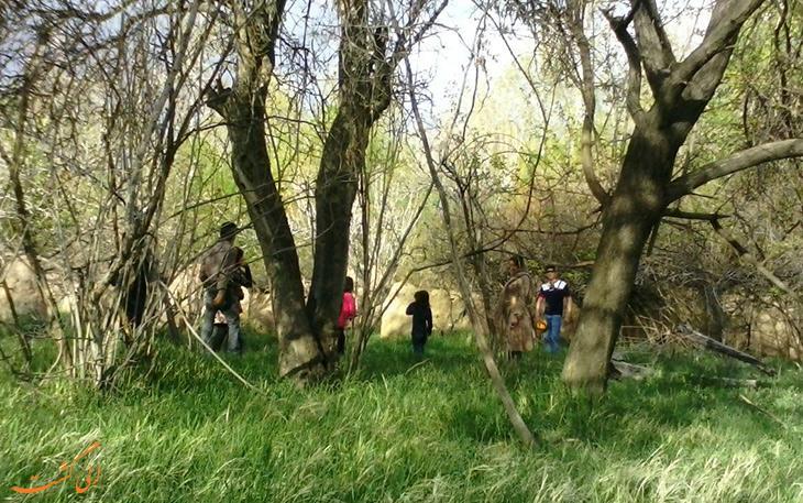 حفاظت از محیط زیست در طبیعت گردی های نوروزی حفاظت از محیط زیست در طبیعت گردی های نوروزی