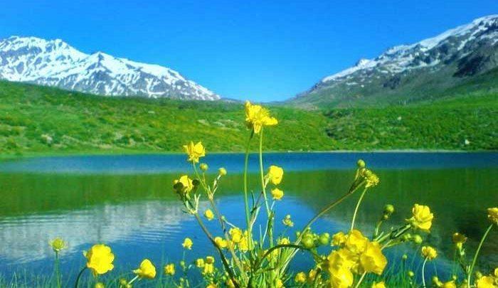 نرخ سفرهای طبیعت گردی ترکیبی در کشور