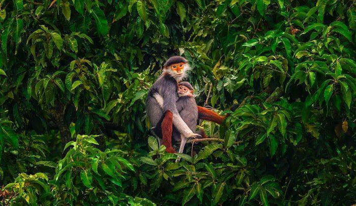 یک دل نه صد دل &hellip ثبت عشق از نگاه دوربین ؛ مسابقه عکاسی ، بخش اول تصاویر